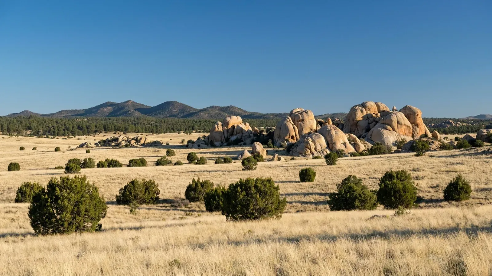 Rolling grassland and juniper near Prescott with stacks of weathered granite boulders and pine-covered mountains beyond.